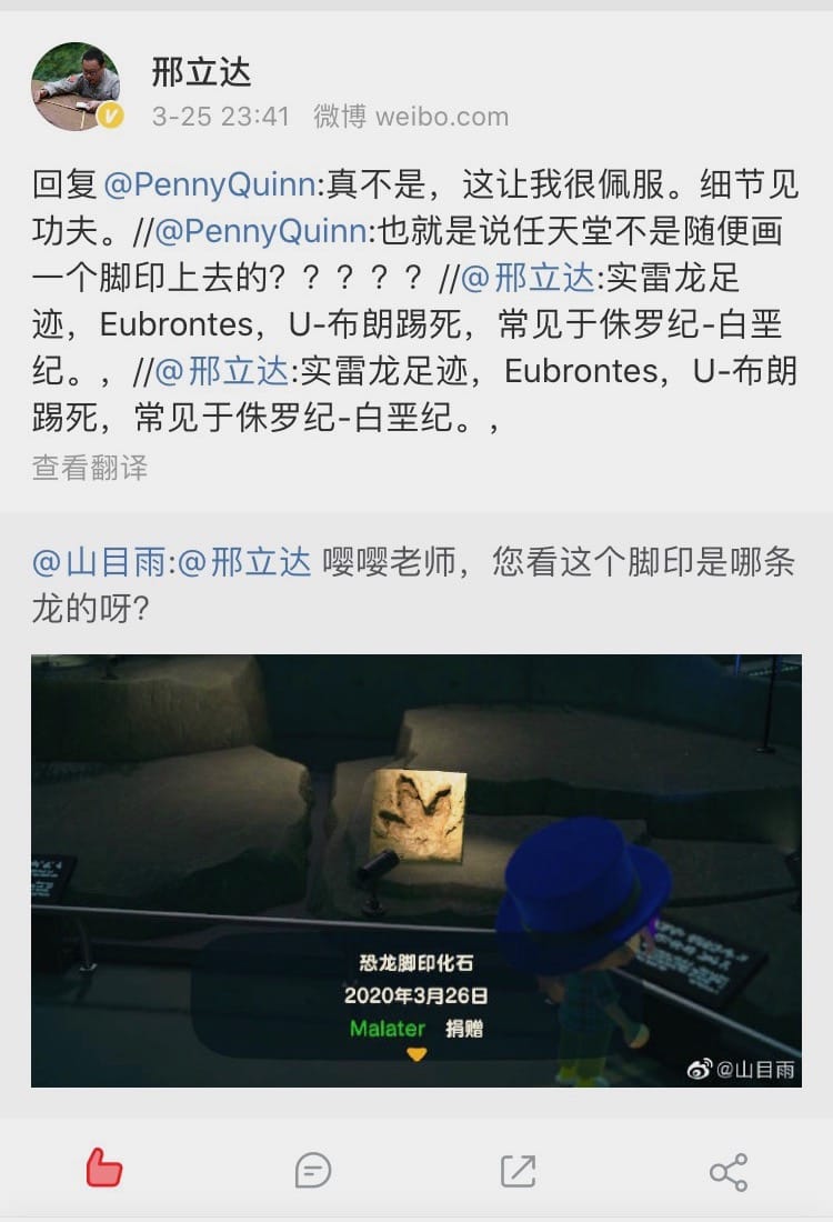 恐龙脚印化石