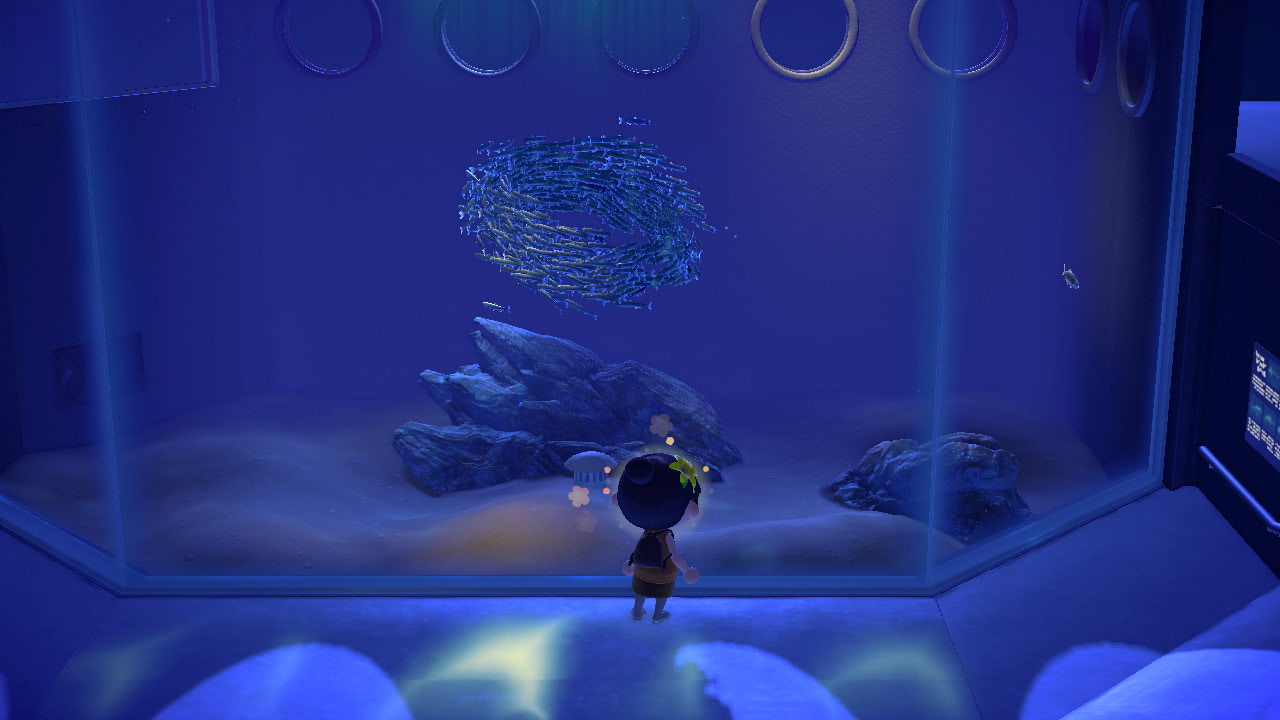 海洋生物展区
