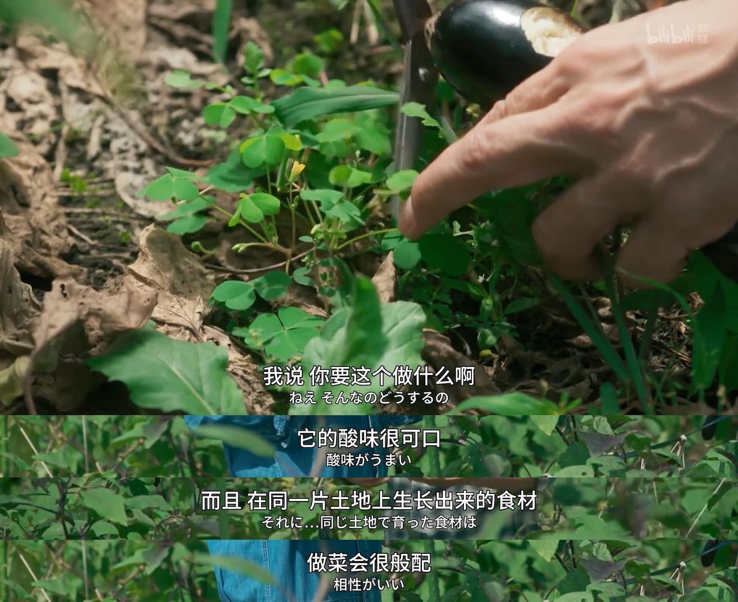 截图5